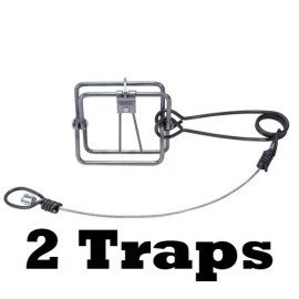 RBG 2 RBG CTM 3x3 Body Grip Trap Single Spring Rat Trap Trapping Supplies 2 Traps