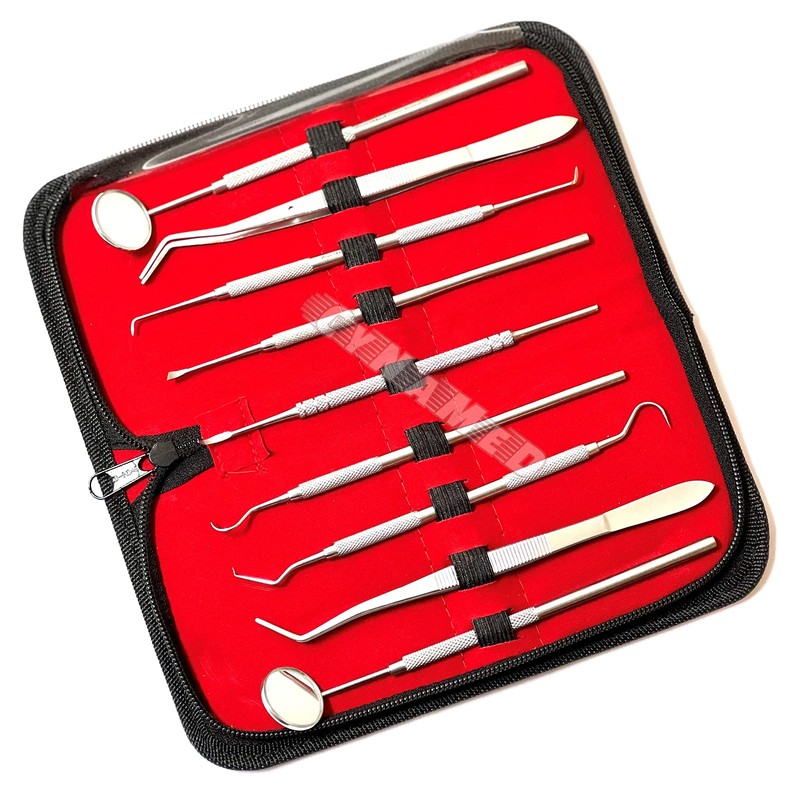 Premium German Dental Scaler Pick Stainless Steel Tools with Inspection