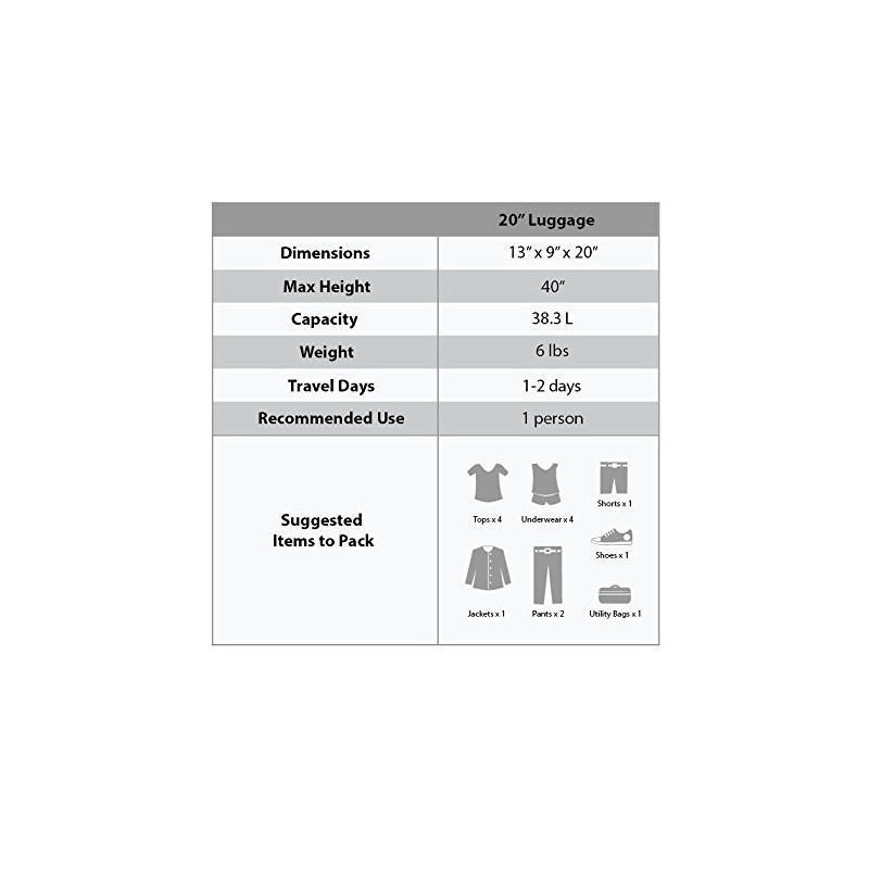 Rockland Safari Hardside Spinner Wheel Luggage, Zebra, Carry-On 20-Inch