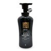Ryo Chouibang Hair Loss Symptoms Relief Premium Shampoo 490ml / 려 초의방 탈모증상완화 프리미엄 샴푸 490ml