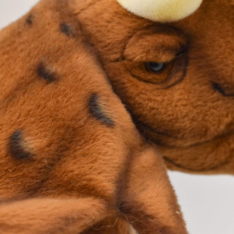 Unknown Triceratops Doll 33 cm