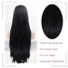 Angle Lucky Black Micro Braided Wigs Synthetic Lace Frontal Braided