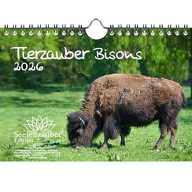 Tierzauber Bisons DIN A5 Kalender für 2026 Amerika - Seelenzauber