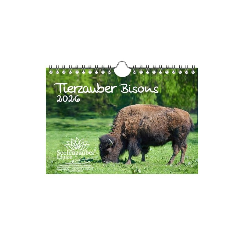 Tierzauber Bisons DIN A5 Kalender für 2026 Amerika - Seelenzauber