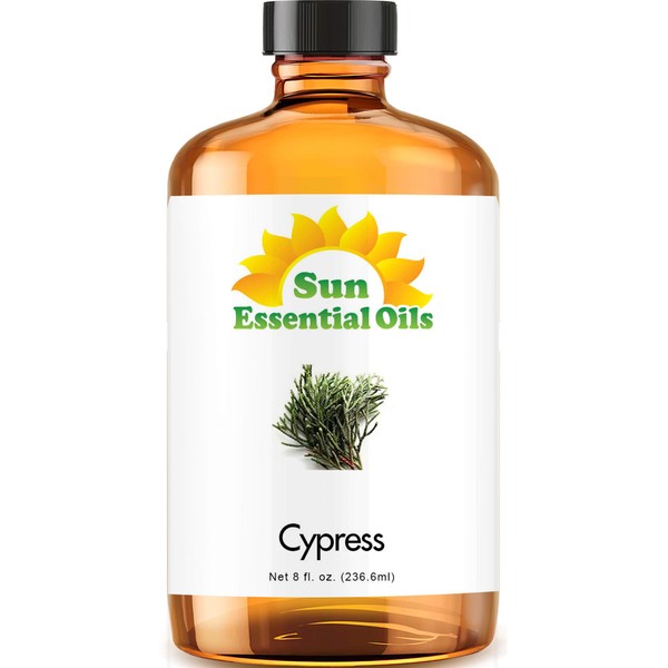 Sun Essential Oils 8oz - Cypress Essential Oil - 8 Fluid Ounces
