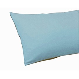 SASA CRAZE Bedding Standard Housewife Pillow Case Pair (Sky Blue)
