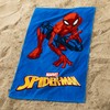 CTI Beach Towel 70 x 120 cm Blue (047690)