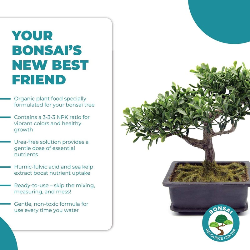 Bonsai Tree Food | Liquid Fertilizer for Bonsai Trees -