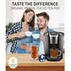 Organic Tea Pods with Moringa, Pepeppermint, Holy Basil & Turmeric