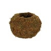 Esschert Kokedama Moss Ball M Diameter 14.5 cm