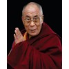 Dalai Lama 8x10 Photo