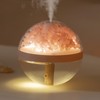 Preserved Flower Portable Humidifier,270ml Capacity,Rechargeable Essential Oil Diffuser with Night