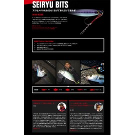 Apia Metal Jig Lure Blue Dragon Bits 3g 07 Magma Silver