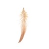 Kingsie 180 Pieces Natural Feather Set of 6 Feathers Feathers