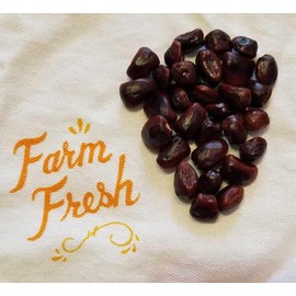 Generic Thai Tamarind Seeds, 10 Seeds, Grows Sweet Delicious Garden Tamarind, Dark Brown, Blackish