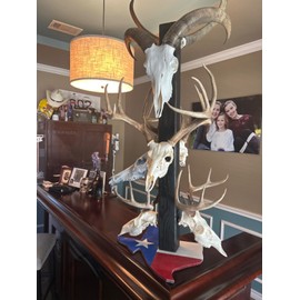 LAJIAOZ European Mount Skull Hangers with Free Silicone Protector Deer Skull Mount Hanger for Indoor Outdoor Deco, Hanging Antelope, Cattle, Coyote and Small Game Animals(1Pcs, Blue)