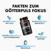 OS NUTRITION Götterpuls Fokus Kapseln (Koffein + Citicolin) – 120