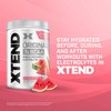 Xtend XTEND Original BCAA Powder 7g BCAA and 2.5g L-Glutamine,