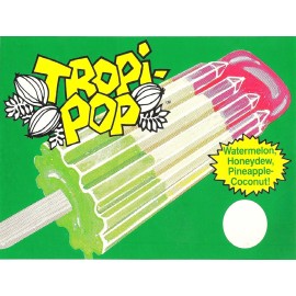 Tropi-pop Ice Cream Truck High Quality Metal Magnet 3x4 inches 9972