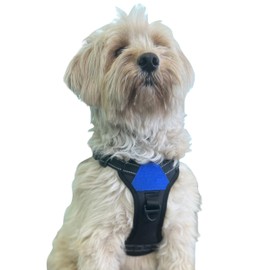The North Star Dog Harness™ - Comfortable, Fully Adjustable, Designed to Reduce Pulling, Escape Resistant, Durable, fastens Easily and securely with Airtag Holder (Black/Blue, XL)