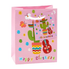 TSI Geschenktüten GEBURTSTAG, 12er Packung, Größe: Klein (HxBxT 14 x 11 x 6,5 cm), Art. Nr. 84024