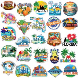 Fabbay 25 Pcs Florida Fridge Magnet Magnetic Refrigerator Stickers Florida Souvenirs Gifts Refrigerator Magnets for Fridge Laptop Locker Home Decoration Accessories