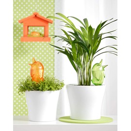 Scheurich Set of 4 Watering Globes 220 ml Green Water Dispenser Bördy M (Green) Water Reservoir