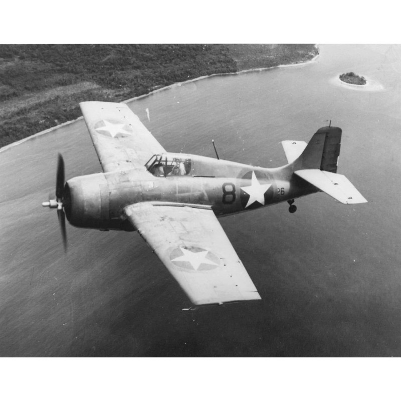 Navy Grumman F4F Wildcat and F6F Hellcat USN WW2 Zero