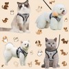 Dog Harness and Lead Set, Adjustable Cat Harness Reflective Small