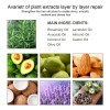 Aceite Para El Crecimiento Del Cabello Kisinly Veganic Rosem