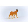 Schleich Wildlife Caracal Female 14867