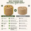 Natural Hemp Rope - 2 Inch x 50 Feet -