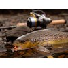 Machilea 2025 Neue Twist Spoon Forelle UV-Aktiv (4g) 5cm Twister