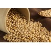 Hunza Organic Soybeans (5 lbs)