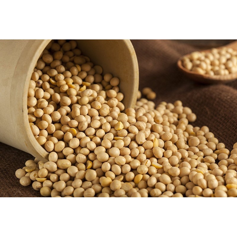 Hunza Organic Soybeans (5 lbs)