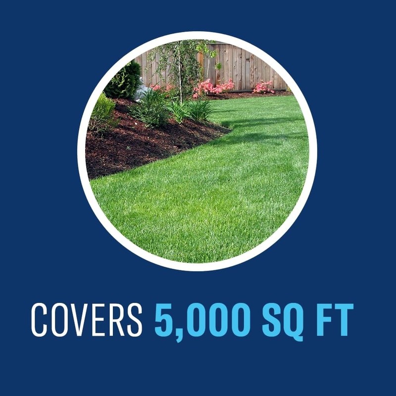 BioAdvanced Fungus Control for Lawns, Ready-to-Spray, 32 FOZ, 5,000 Sq