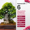 32oz Bonsai Fertilizer Liquid - Makes 192 Gallons of Bonsai