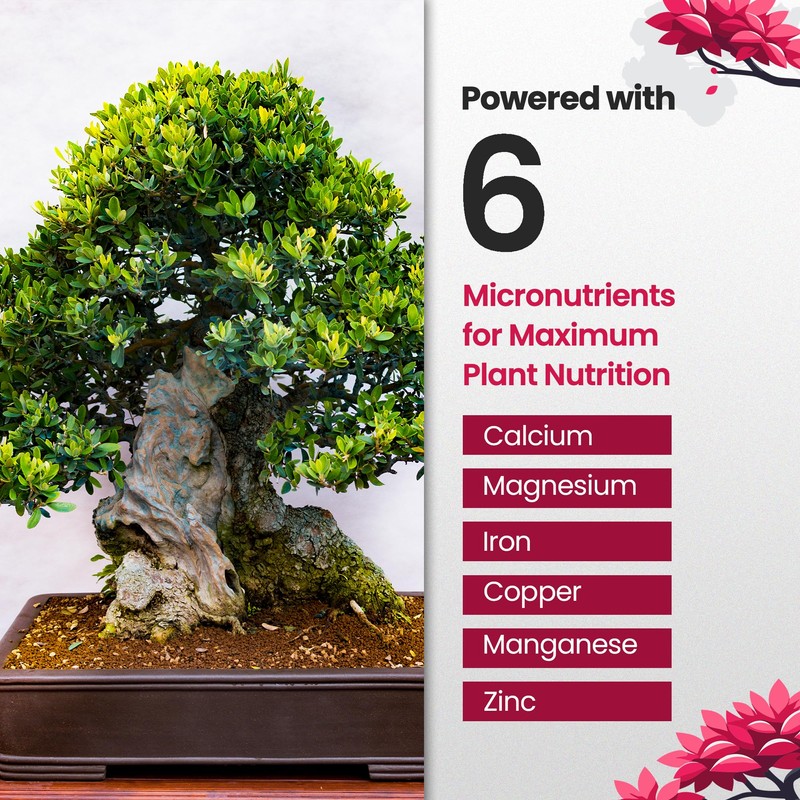 32oz Bonsai Fertilizer Liquid - Makes 192 Gallons of Bonsai