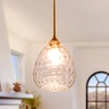 Homebelife Transparent Clear Hammered Glass Pendant Light with Brass Gold