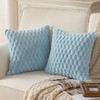 Mandioo Set of 2 Light Blue Super Soft Decorative Plush