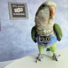 RRRIOT Bird Flight Harness Vest, Parrot Flight Suit with Leash,