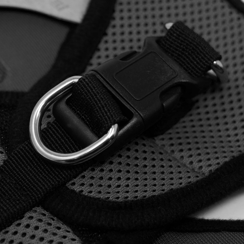 Murphy & Roxy Mesh Harness (Black, M) - Lightweight, Reflective