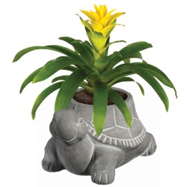 Classic Home and Garden 9/3451/1 Turtle Planter, Small, Natural