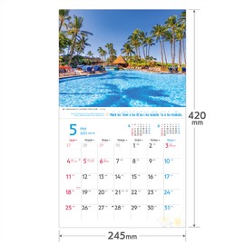 Photo Studio Calendar | Hawaii 2025 Small Calendar Wall Hanging Landscape [8.3 x 9.6 inches (210 x 245 mm)]