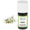 Niaouli essential oil (organic)