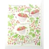 DaySpring Berries & Hearts With Bible Verses Sticker Sheet