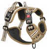 HEELE Dog Chest Harness, for Running, with Lockable Snap Closure,