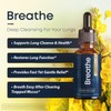 BREATHE 8-IN-1 Mullein Drops for Lungs & Airways (1 fl.