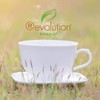 Revolution Tea - Mesh Infuser Full Leaf Tea - Honeybush