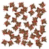 OrgMemory Mini modello di erba, 200 pezzi, piante modello misto,